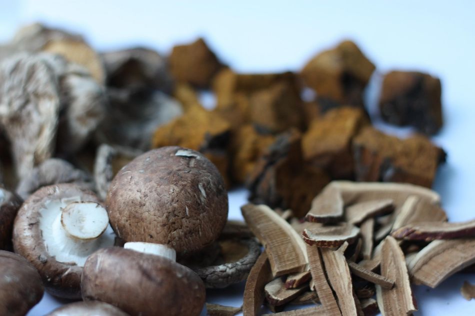 Molecole dai funghi: l'acido Shikimico